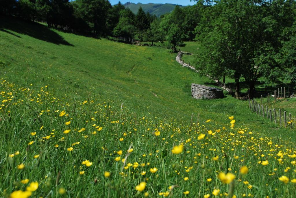 Agriturismo Le Radici San Fedele Intelvi Extérieur photo