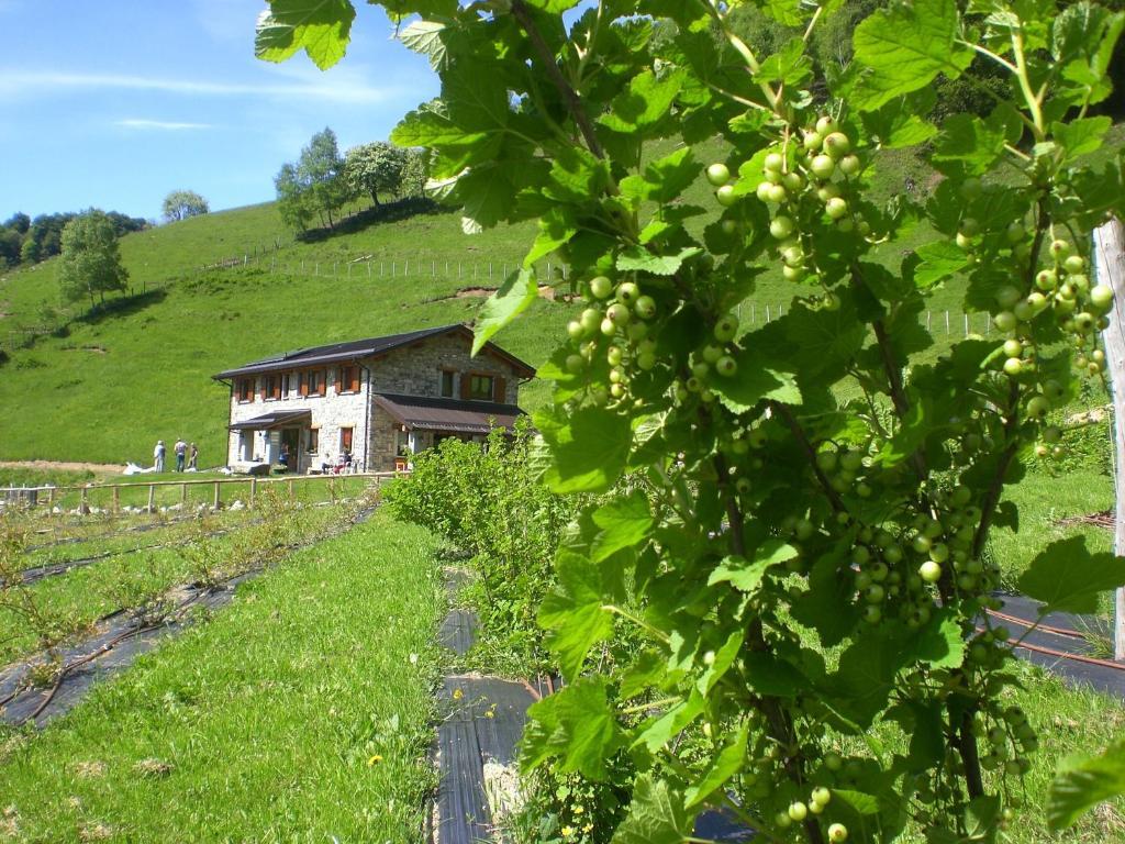 Agriturismo Le Radici San Fedele Intelvi Extérieur photo