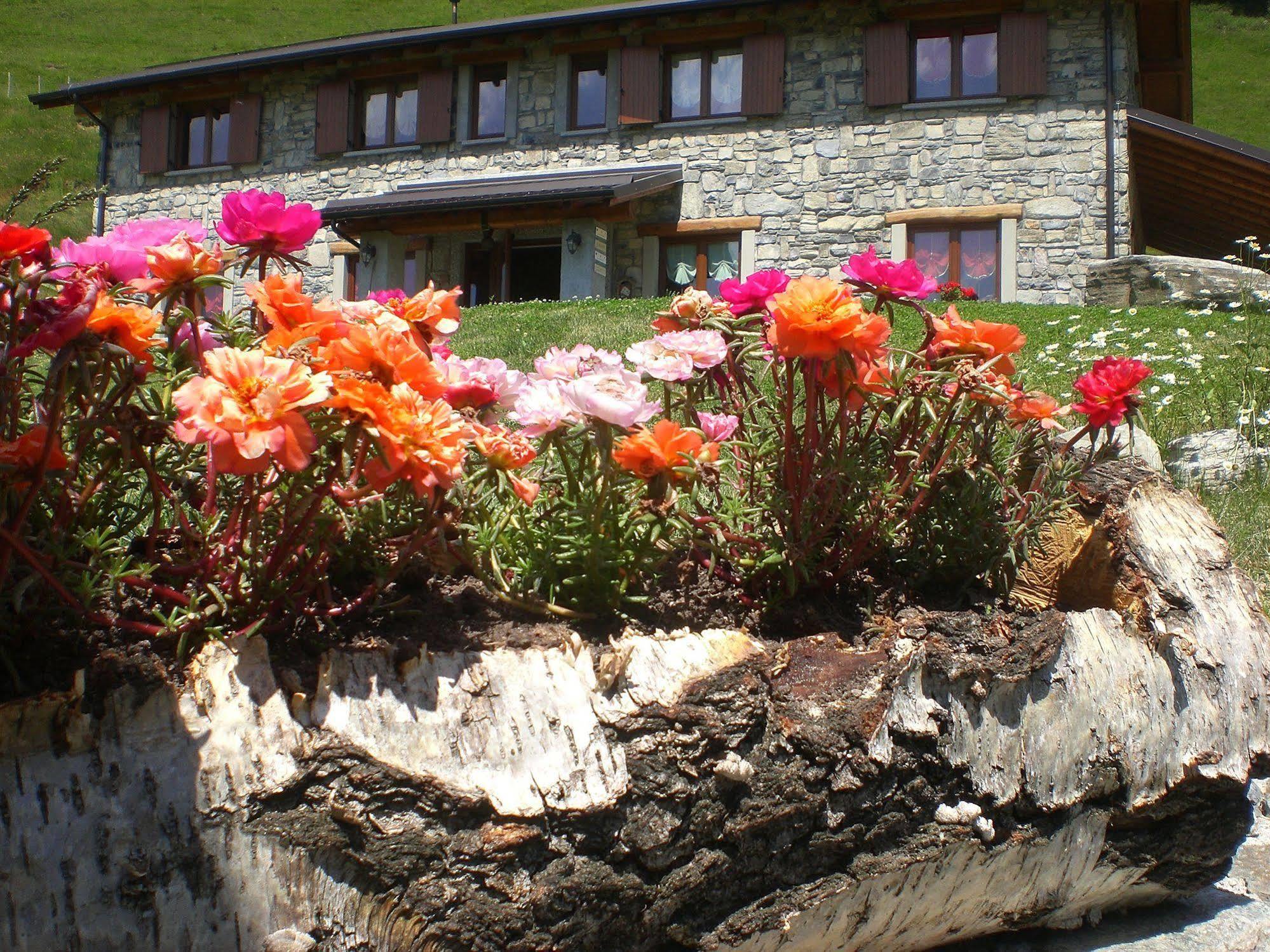 Agriturismo Le Radici San Fedele Intelvi Extérieur photo