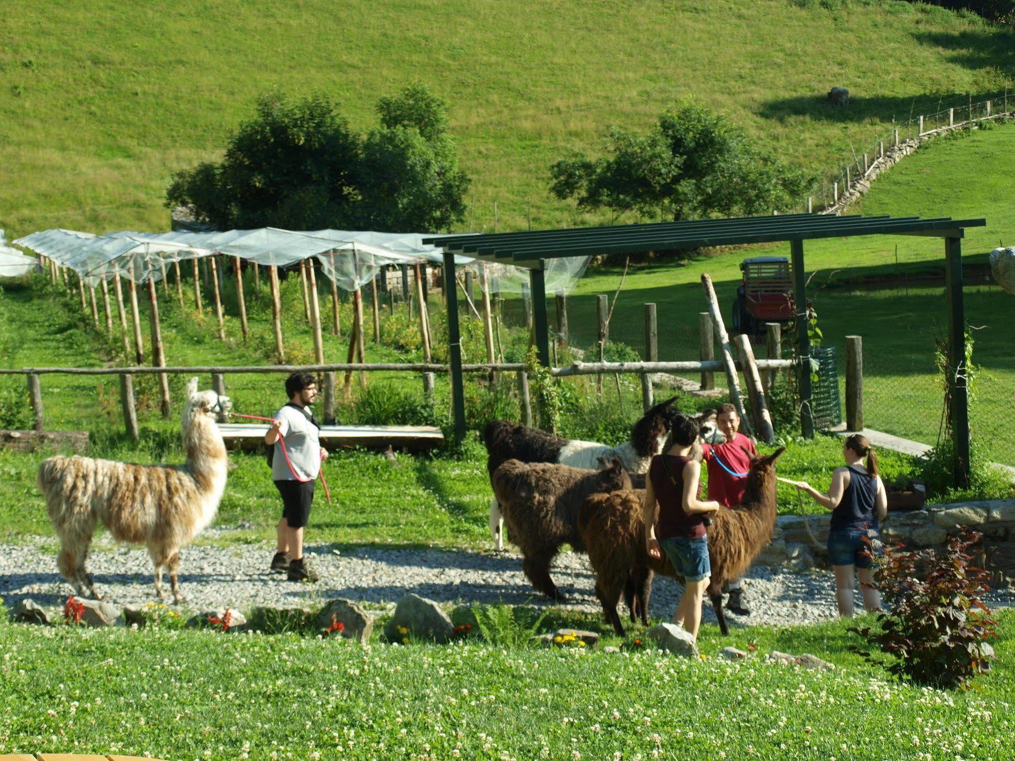 Agriturismo Le Radici San Fedele Intelvi Extérieur photo