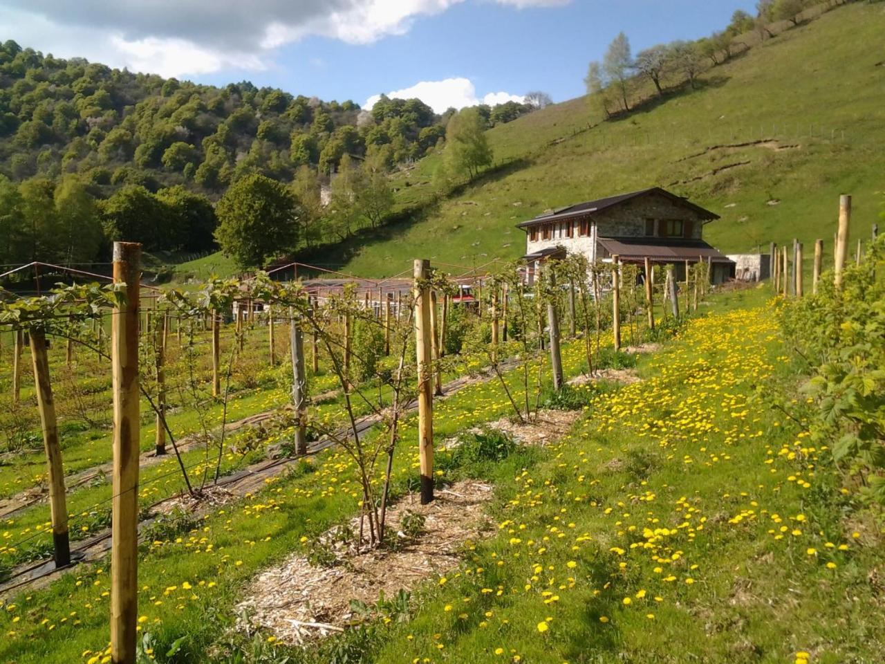 Agriturismo Le Radici San Fedele Intelvi Extérieur photo